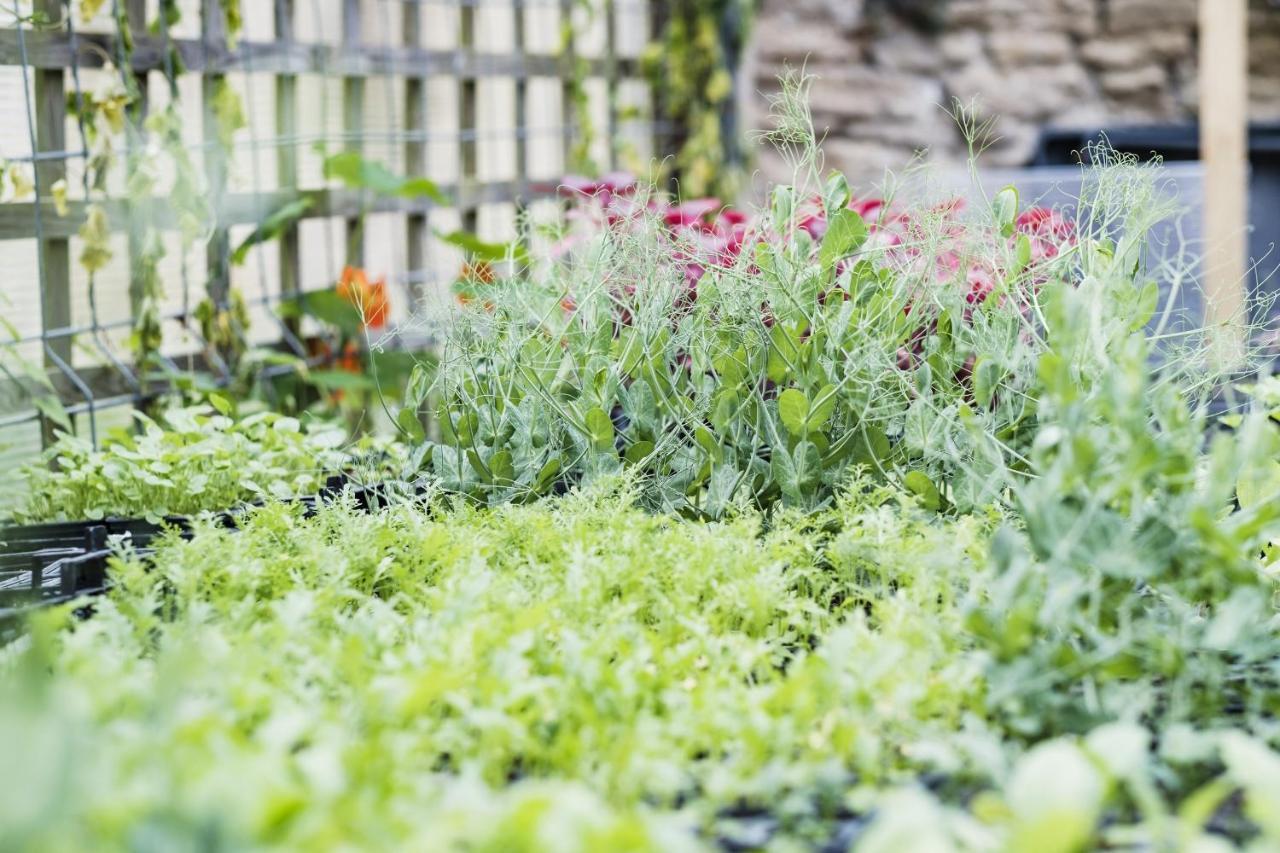 Hotel The Methuen Arms Corsham Exterior foto A garden in the UK