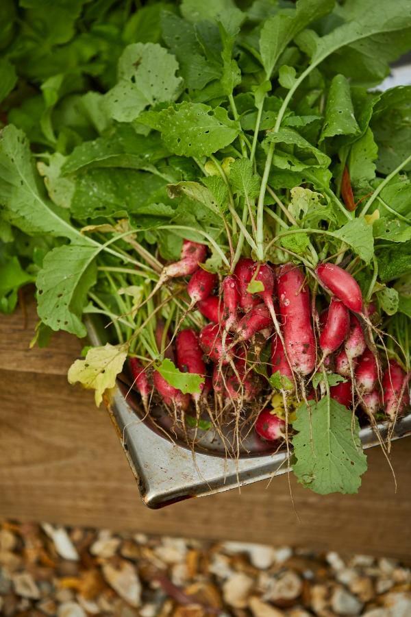 Hotel The Methuen Arms Corsham Exterior foto Radishes