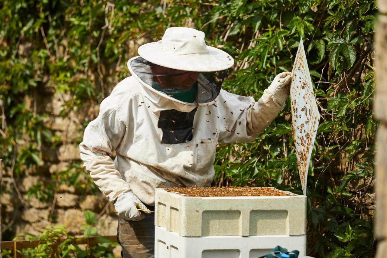 Hotel The Methuen Arms Corsham Exterior foto Beekeeper with a bee smoker